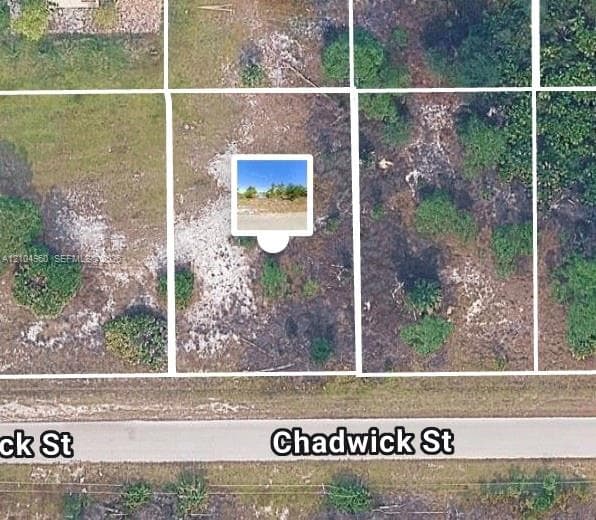 ?1043 Chadwick st, Lehigh Acres FL 33974, exterior
